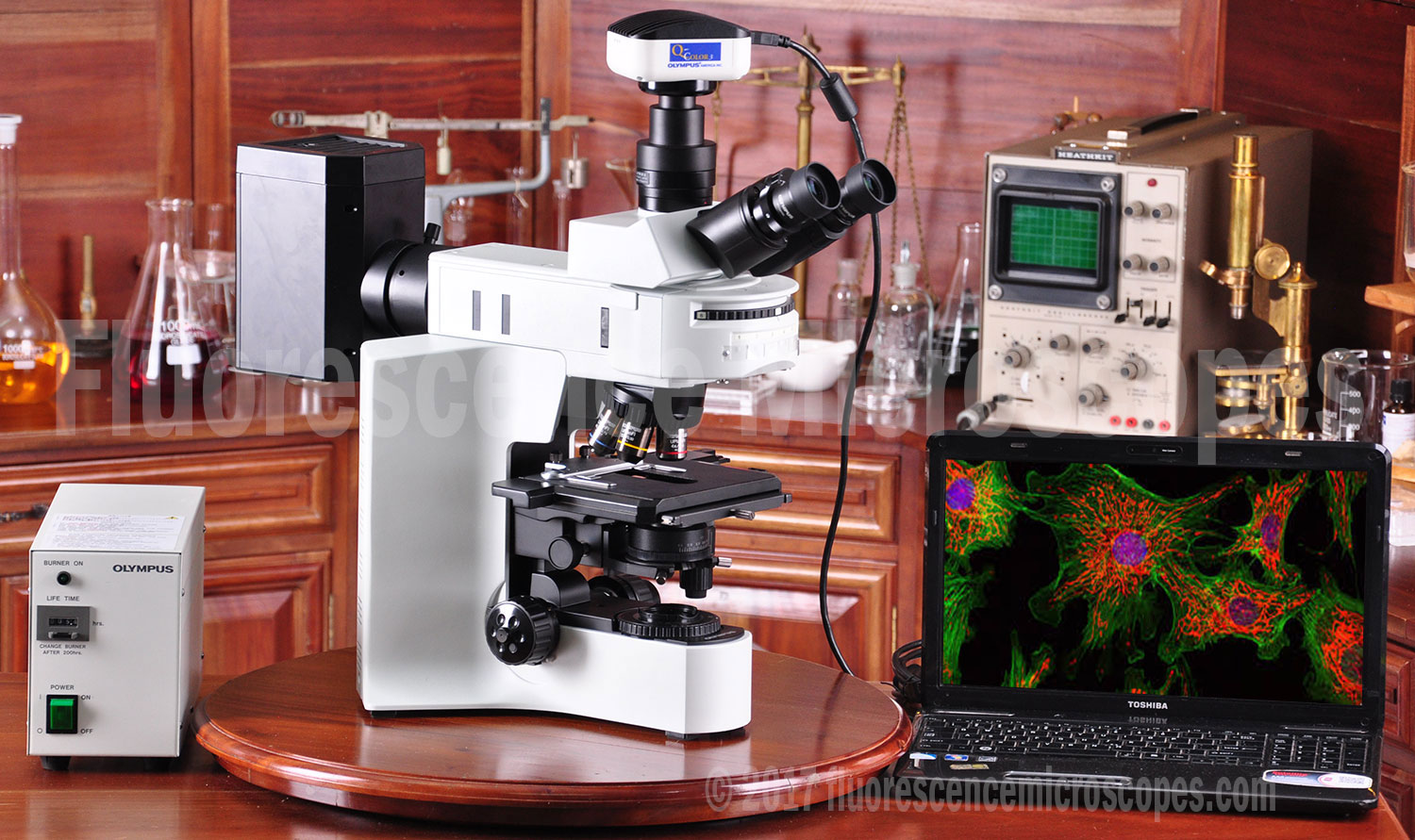 Olympus Model BX41 HBO 100W Trinocular Head Fluorite Objective Lenses Research Grade Upright Fluorescence Microscope