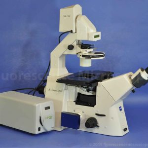 Zeiss AxioVert 200  Inverted Fluorescence Phase Contrast